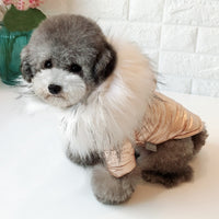 Padded With Fur Hoodie For Small Dogs