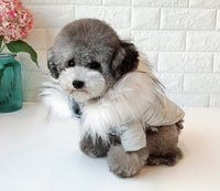 Padded With Fur Hoodie For Small Dogs