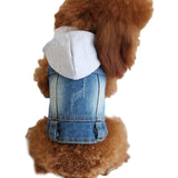 Denim Jacket For Small Dogs