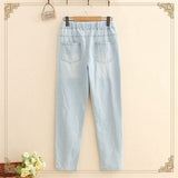 Embroidered Straight Leg High Waist Jeans