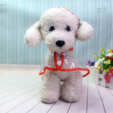 Waterproof Transparent Raincoat Jacket For Dogs