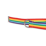 Rainbow Double Buckle Belt